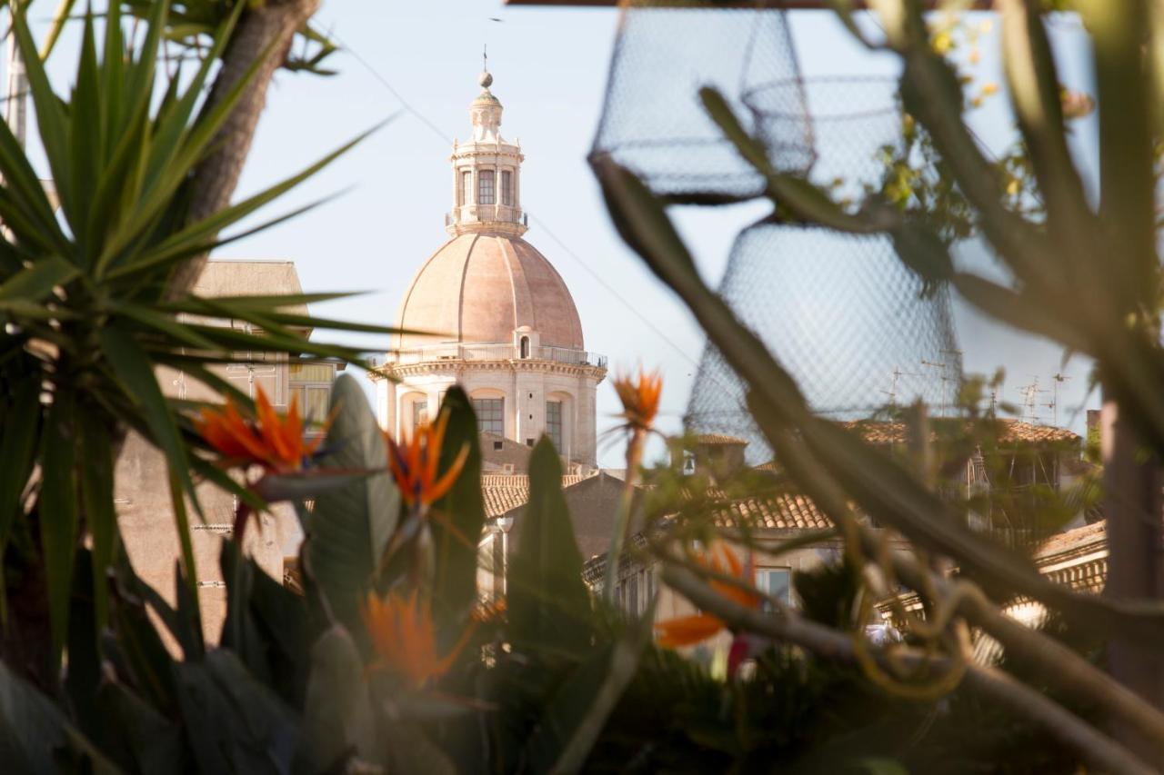 Tre Vie Apartment Con Terrazzo Giardino Pensile CTA Exteriör bild